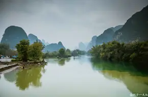 Camel Crossing The River