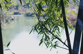 Taohuayuan Village