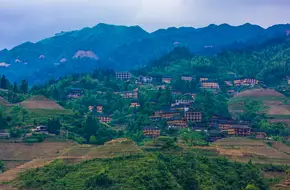 Golden Buddha Peak Observation Point