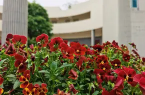 Nanjing Audit University