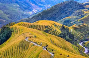 Ping'An Zhuang Rice Terrace Scenic Area