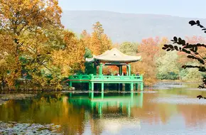 Zhongshan Scenic Area - Purple Mountain