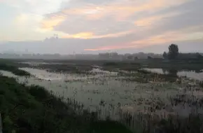 Jiahe Bridge
