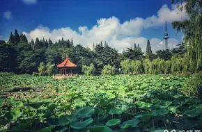 Zhongshan Park-Xiao West Lake