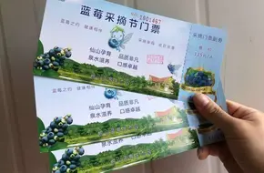 Laoshan Blueberry Ecological Park