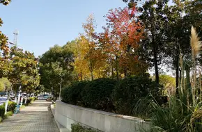 Hengrui Smart Cube Technology Industrial Park