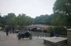 Victory Chess Pavilion