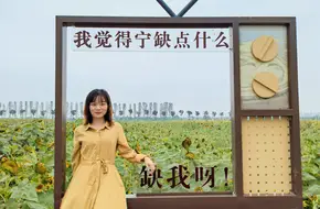 Zhangwei Sunflower Garden