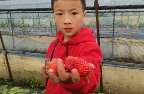 Tianxiang Ecological Park