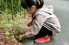 China Bamboo Museum