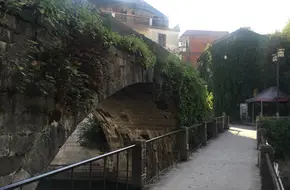 Longevity Bridge