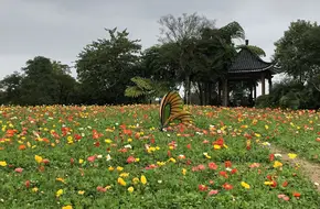 Guilin International Garden Expo Park