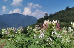 Buni Terraces And Jiawu Waterfall Scenic Area