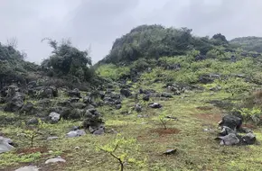 Dalingshan
