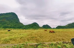 Longyan Rocks Of Guilin