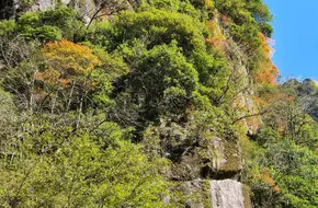 Shenlong Valley