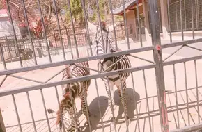 Nanshan Park Zoo