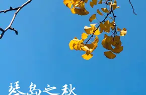 Taizhou Road 1907 Music Block