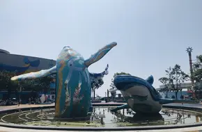 Polar Square