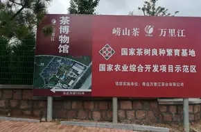 Wanlijiang Tea Museum