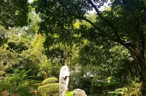 Hidden Dragon Gate