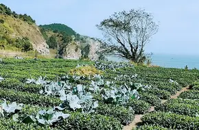 Qingshan Fishing Village