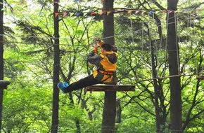 Adventure Forest