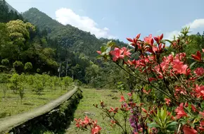 Datang Bay Health And Wellness Scenic Area