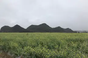Peach Blossom Rock