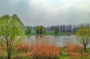 Baguazhou Wetland Park