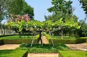 Changyu International Wine City