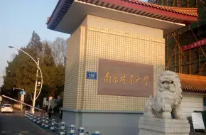 Nanjing Forestry University