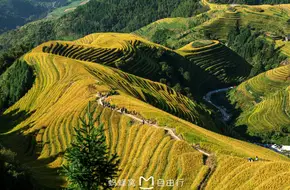 Jiulong Wuhu Observation Deck