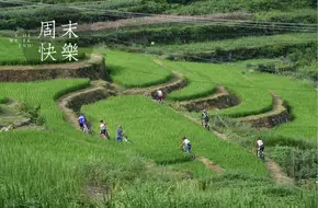 Jiu Mu Village