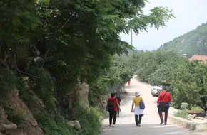 Fujiabu Mountain Fruit Sightseeing Orchard