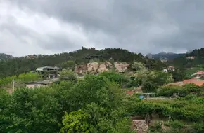 Shao Mountain Dahong Apricot Picking Garden Farmhouse Banquet