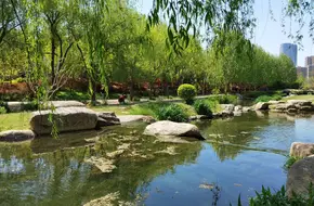Vanke Ecological Park
