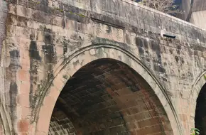 Longevity Bridge