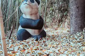 Qingdao Zoo