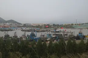 Nanjiang Dock