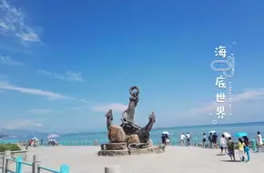 Qingdao Polar Ocean Park-Happy Theater