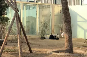 Qingdao Zoo