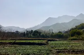 Angela Resort & Spa