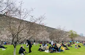 Xuanwu Lake Park