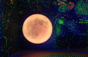 Van Gogh Starry Night Art Exhibition