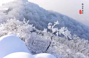 Zhongshan Scenic Area - Purple Mountain