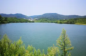 Buddha'S Hand Lake