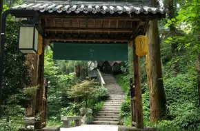 West Tianmu Mountain Scenic Area
