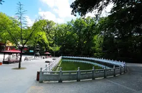 Crescent Pool