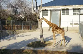 Nanshan Park Zoo